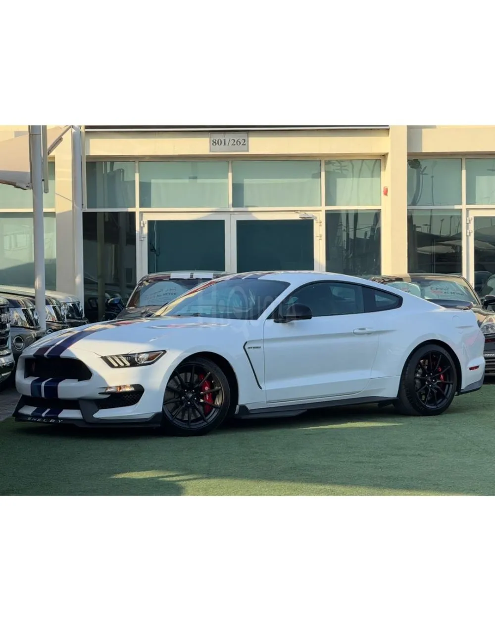 FORD MUSTANG GT350 SHELBY GCC 2018 for sale on HiQuota