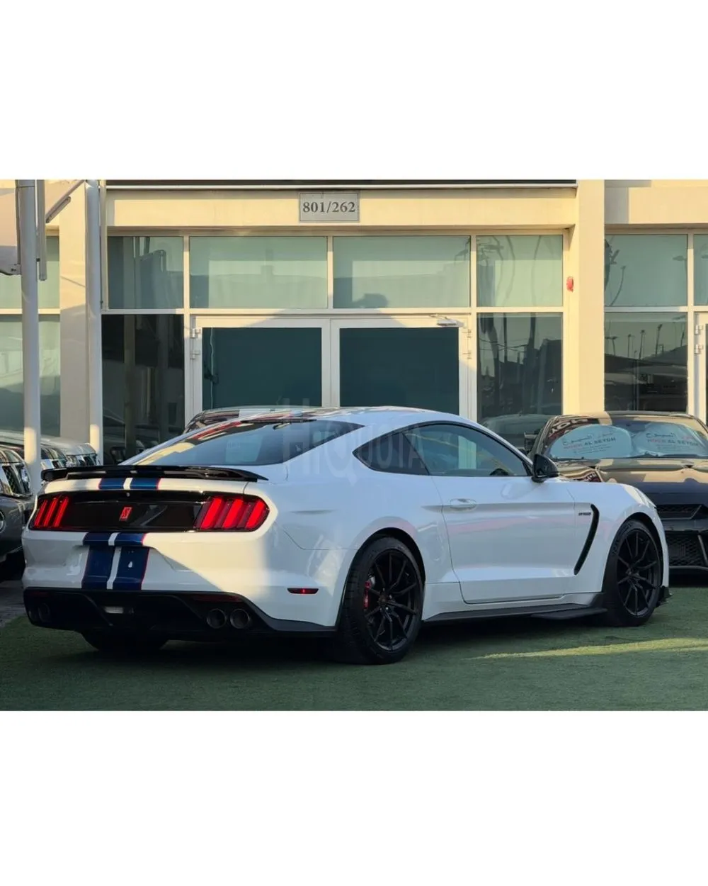 FORD MUSTANG GT350 SHELBY GCC 2018 for sale on HiQuota